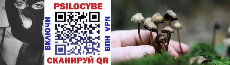 Галлюциногенные грибы MAGIC MUSHROOMS  Чердынь 