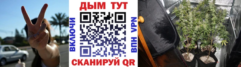 МАРИХУАНА MAZAR  Чердынь 